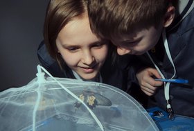 Научные приключения: биологические опыты для детей 6-14 лет