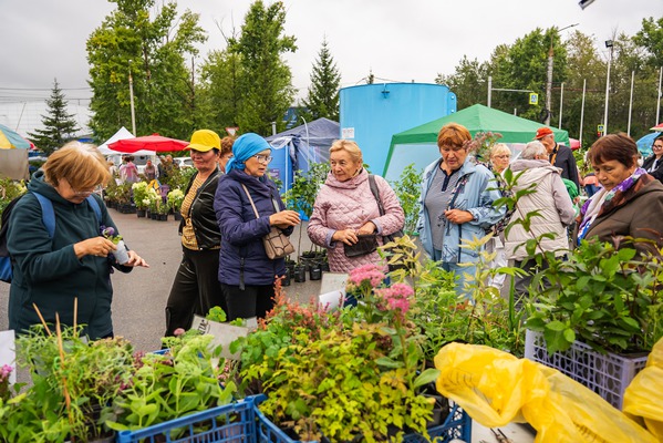 Огород. Сад. Загородный дом