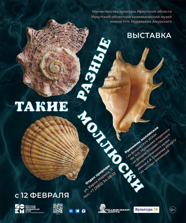 Такие разные моллюски