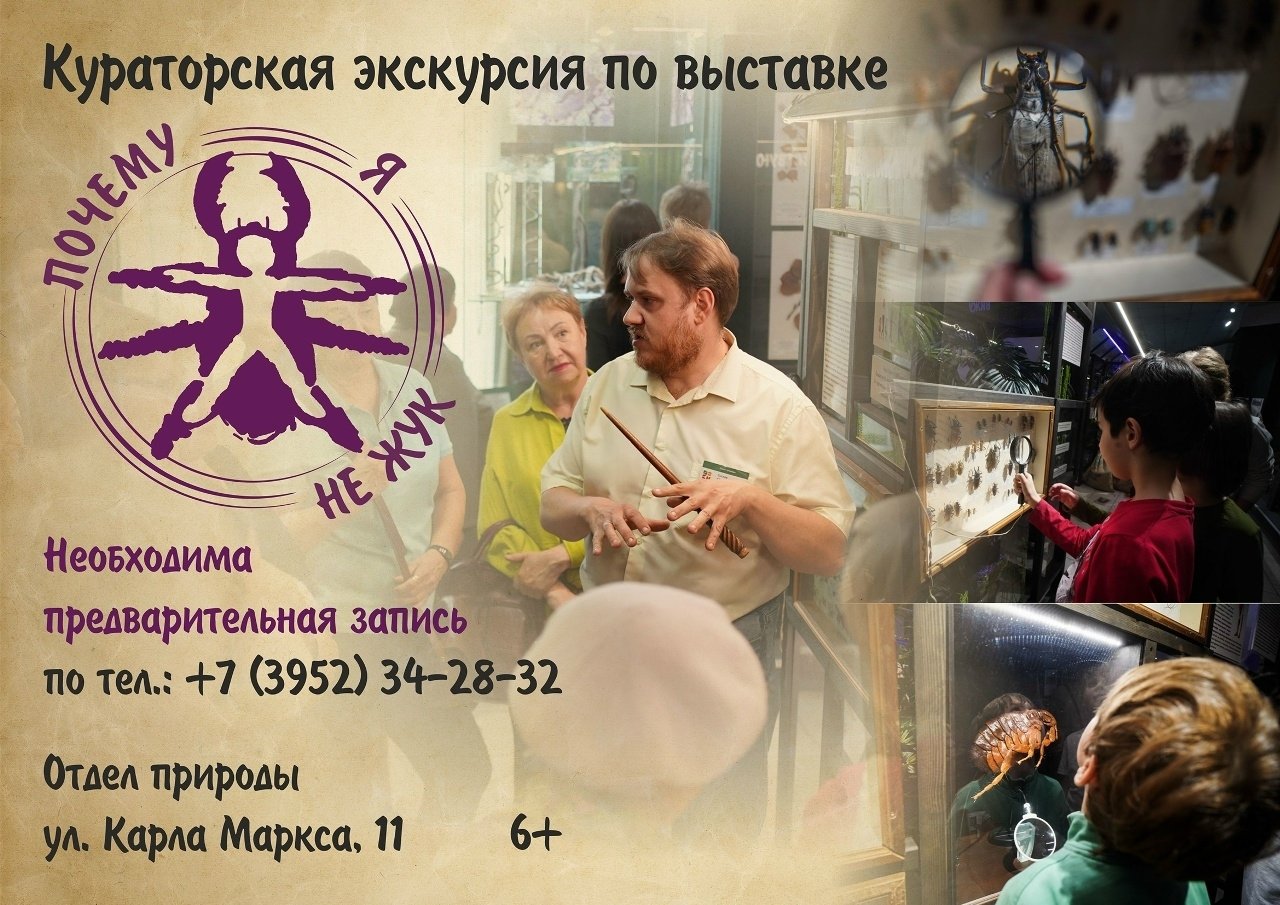 Экскурсия по выставке «Почему я не жук?»