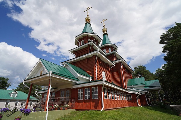Две родины, два писателя