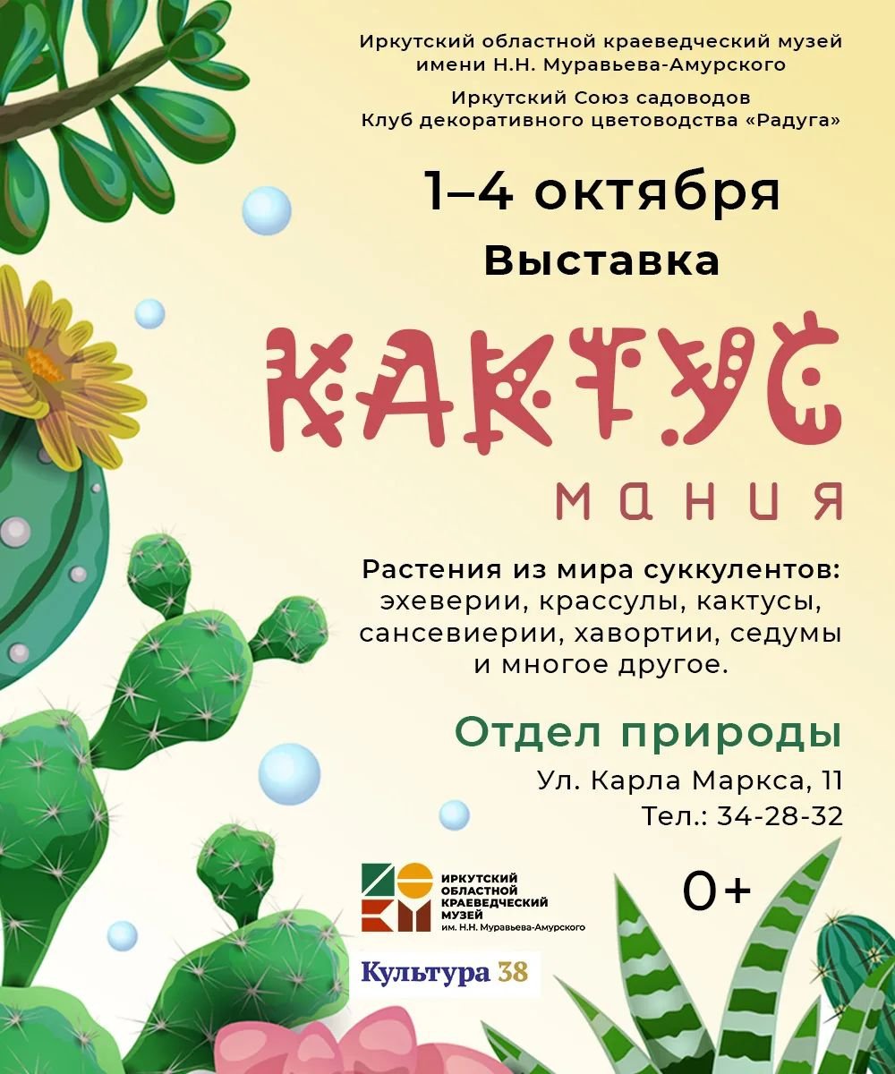 Кактусмания