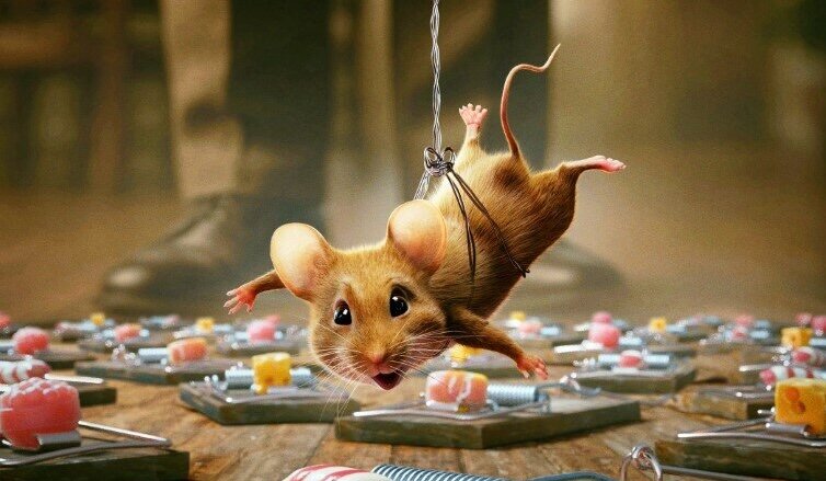 Мышиный переполох