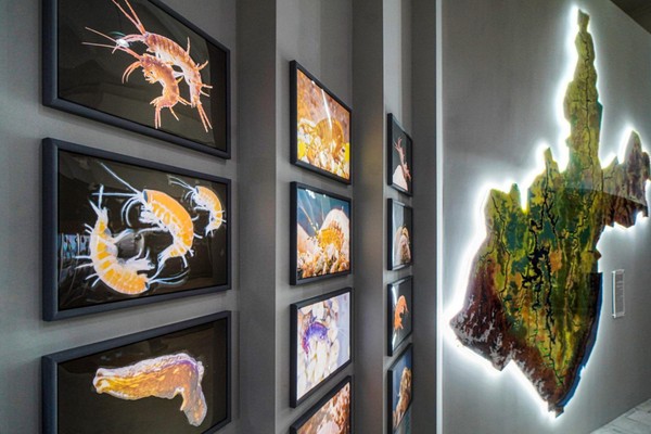 Музейное занятие «У озера»