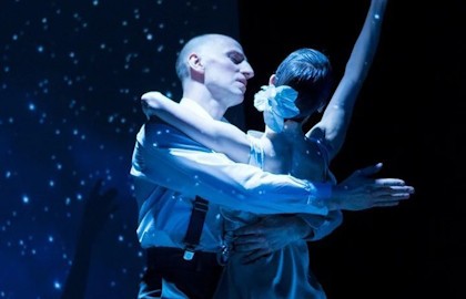 Стальная орхидея