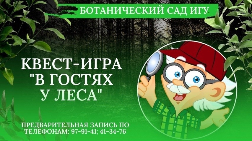 В гостях у леса